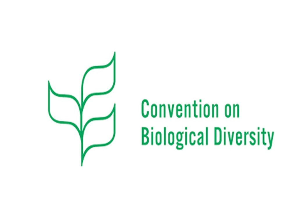 Convenção sobre Diversidade Biológica
