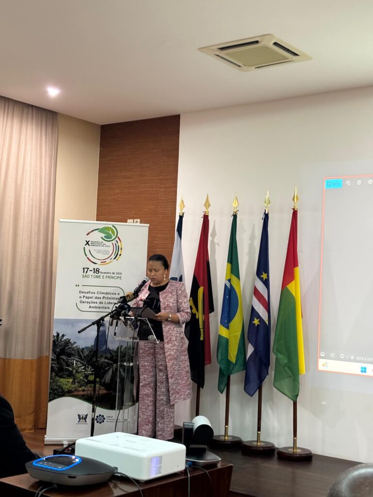 Imagem de uma participante da conferência a discursar.